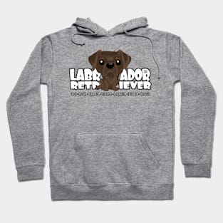 Labrador Retriever (Choco) - DGBighead Hoodie